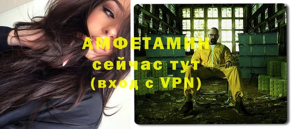 винт Верея