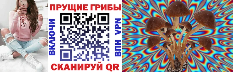 даркнет наркотические препараты  Кемерово  Псилоцибиновые грибы GOLDEN TEACHER  блэк спрут зеркало 