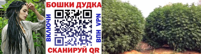 Бошки марихуана THC 21% Кемерово
